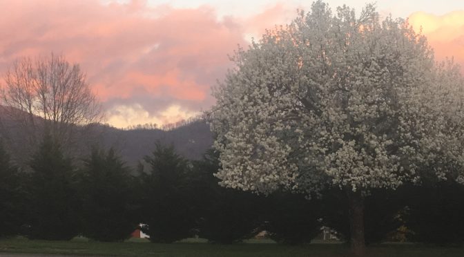 spring in cashiers nc and real estate