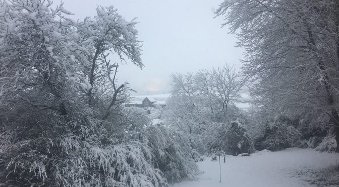 Snowfall in Highlands Cashiers Area